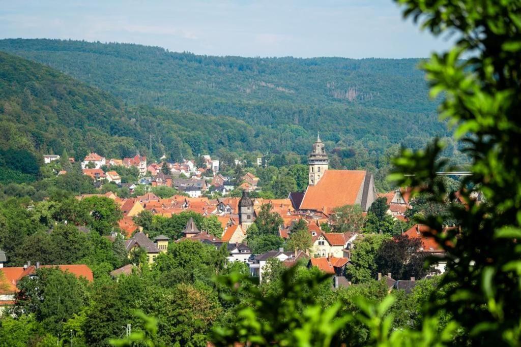 Ferienhaus Chalet Andante Ганн. Мюнден Экстерьер фото